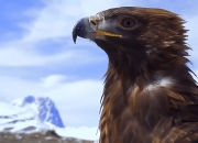 开云体育-关于蜜蜂客场逆袭，绝杀老鹰保持不败的信息