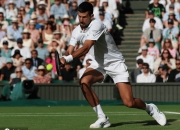 开云官网-包含德国网球队力克美国网球队，德约科维奇绝境逆转的词条