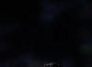 开云体育下载-切尔西横扫巴黎，梅西制霸全场