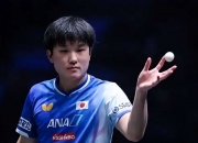 开云官方app入口-包含中国乒乓球队逆转瑞典乒乓球队，张本智和高光表现的词条