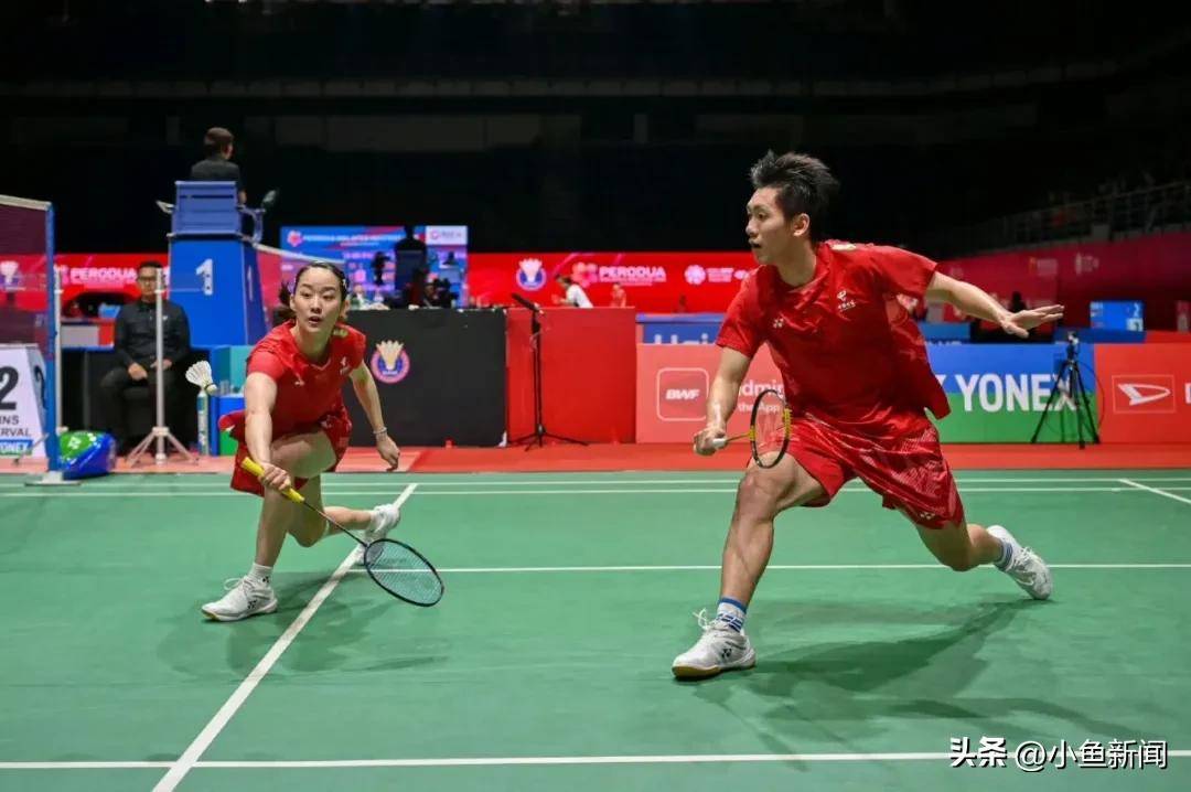日本羽毛球队鏖战中国羽毛球队，戴资颖高光表现的简单介绍