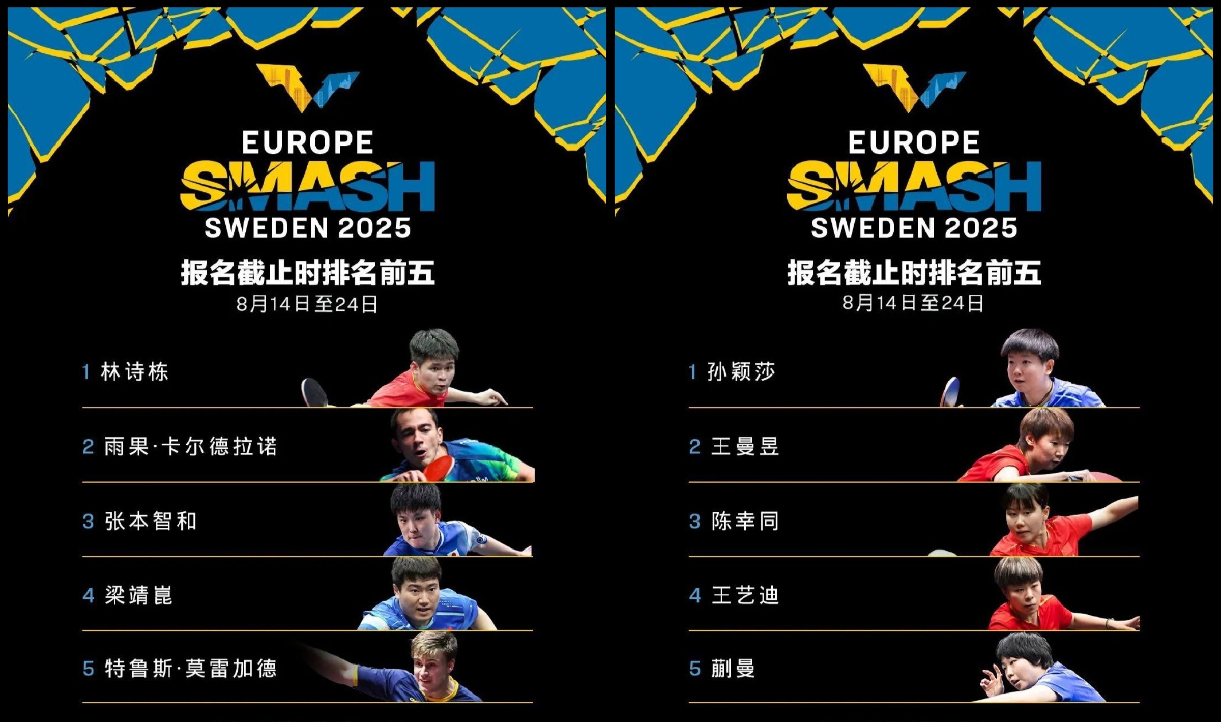 统领全局的智勇双全：欧洲预选赛中的智慧对决的简单介绍