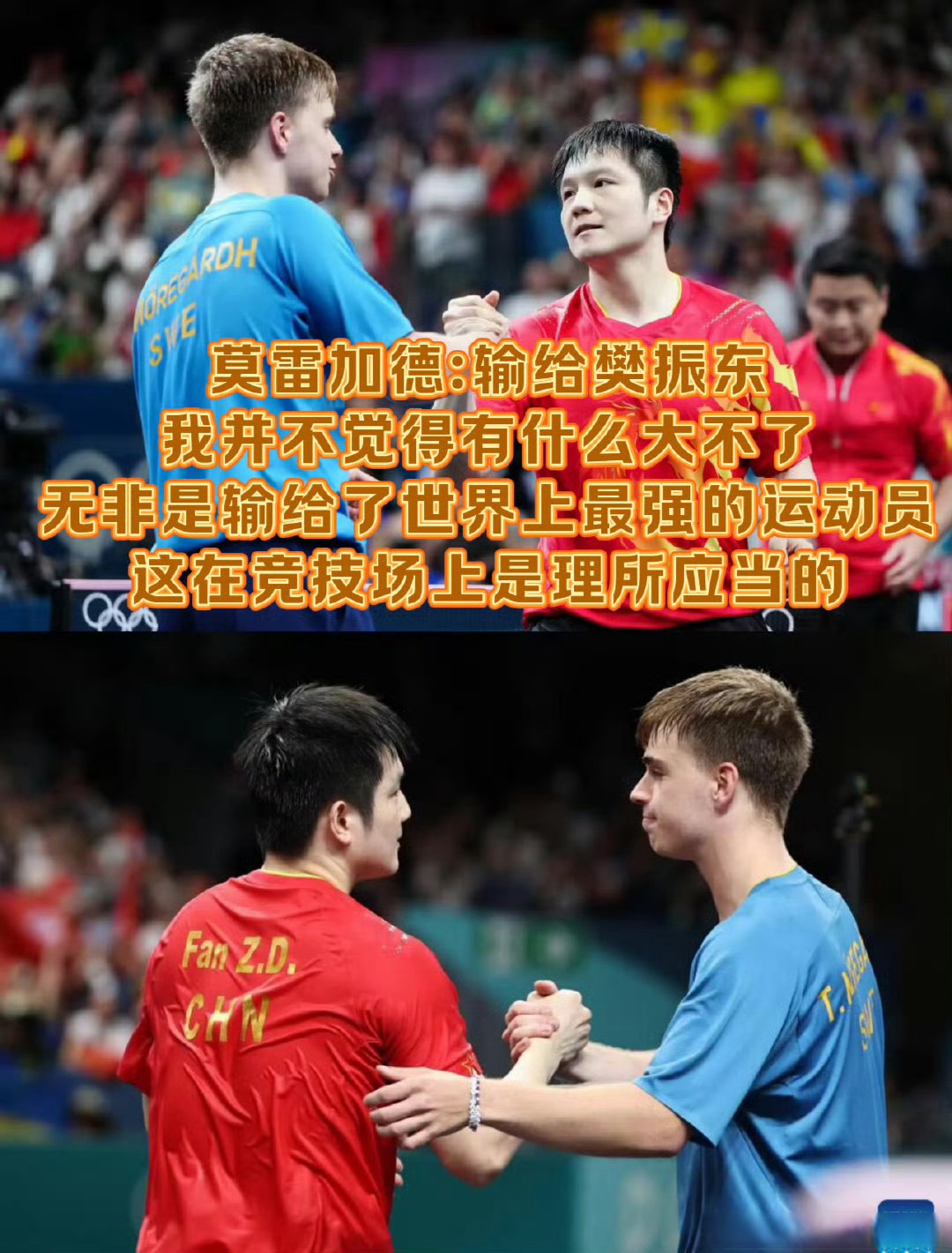 比利时乒乓球队鏖战韩国乒乓球队,樊振东送出助攻的简单介绍 比利时乒乓球队鏖战韩国乒乓球队,樊振东送出助攻的简单介绍