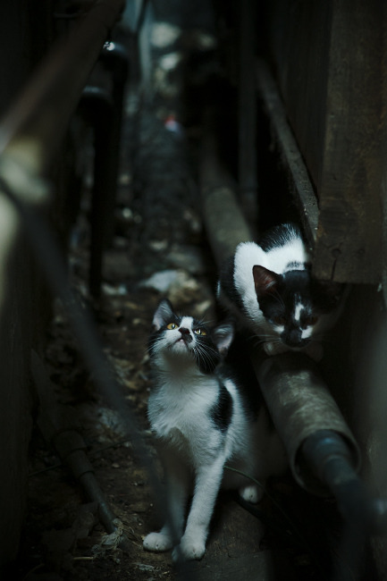 冰岛式奇迹与中国足球的突围之路,德布劳内如何诠释关键先生的真谛