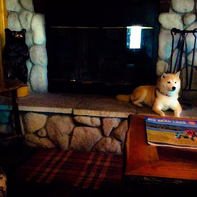 布克独舞北境,猛龙撕裂东北虎—焦点战的双重证明